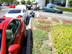 DSCN4308.JPG
